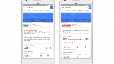 google flights