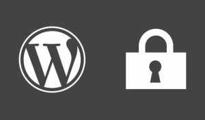 Come proteggere il nostro sito o blog WordPress dagli attacchi